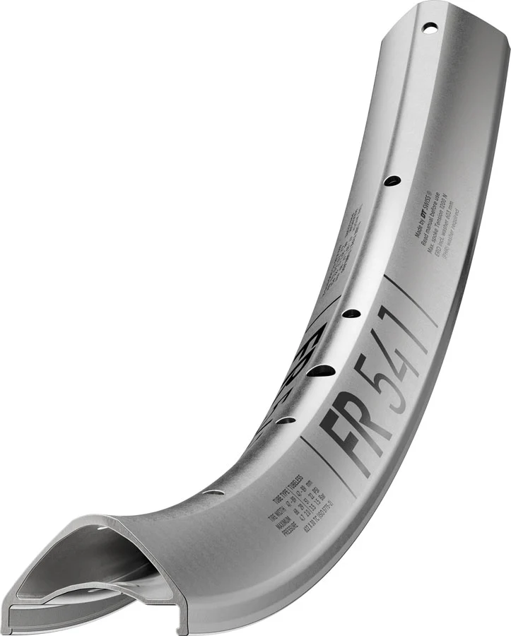 DT Swiss FR 541 Rim - 29" Disc Silver 32H - Image 2