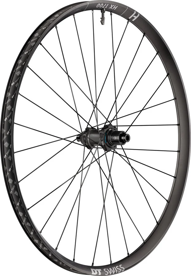 DT Swiss HX 1700 Spline 30 Rear Wheel - 29" 12 x 148mm Center-Lock Micro Spline 12M DEG 60 DF BLK