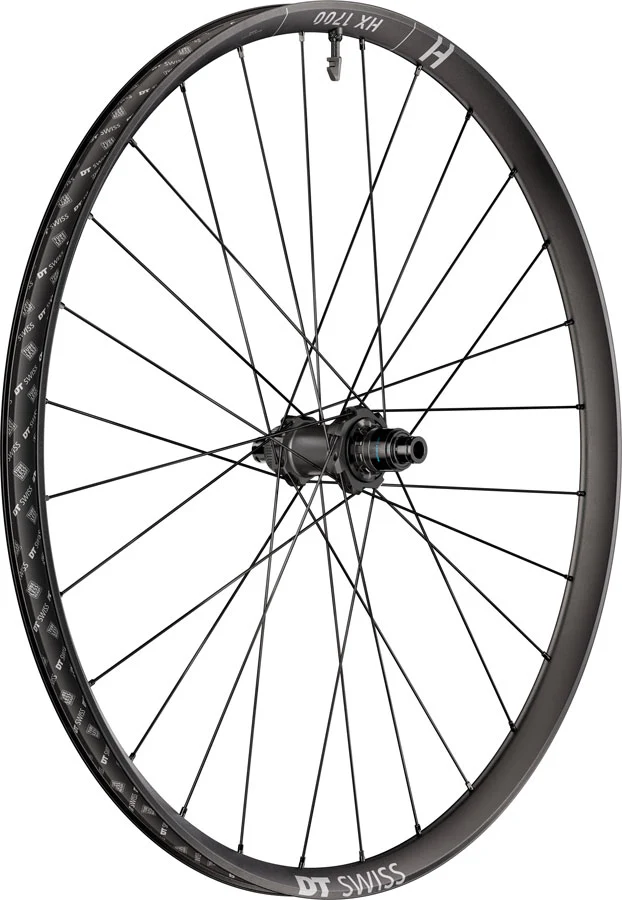 DT Swiss HX 1700 Spline 30 Rear Wheel - 29" 12 x 148mm Center-Lock XD DEG 60 DF BLK