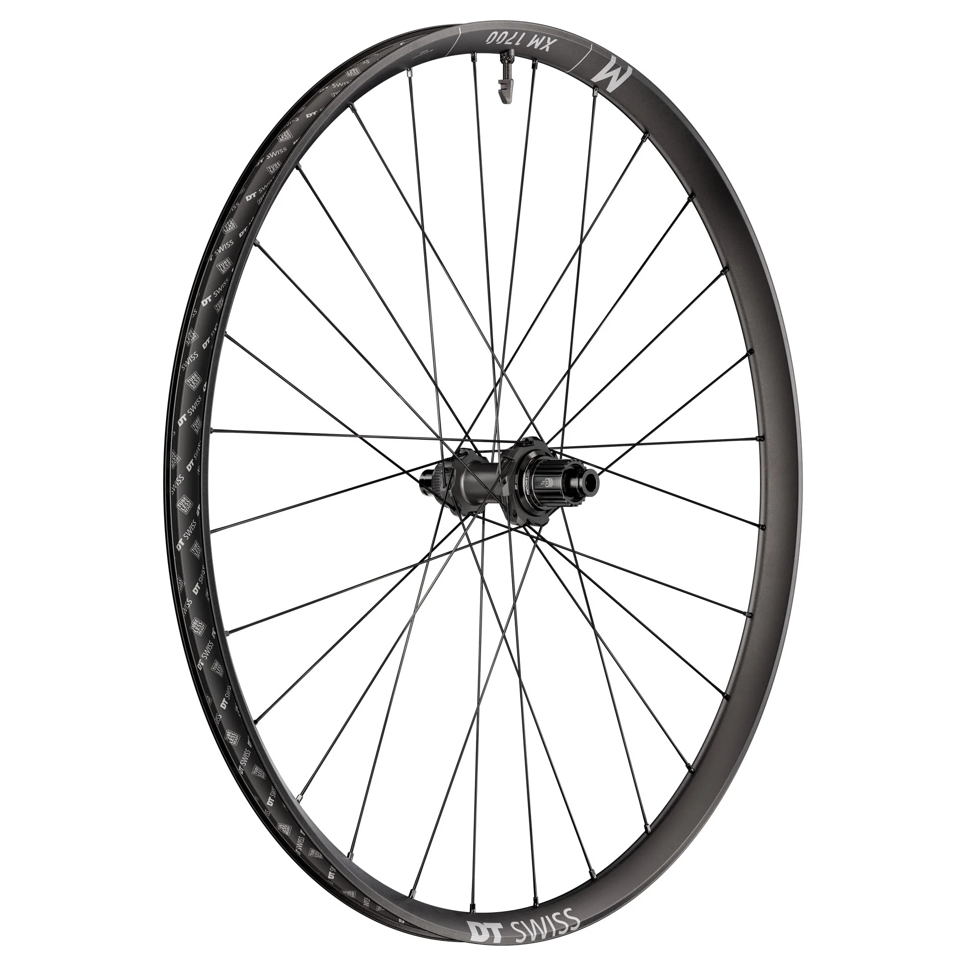 DT Swiss XM 1700 Spline 30 Rear Wheel - 29" 12 x 148mm Center-Lock Micro Spline 12M DEG 72 DF BLK