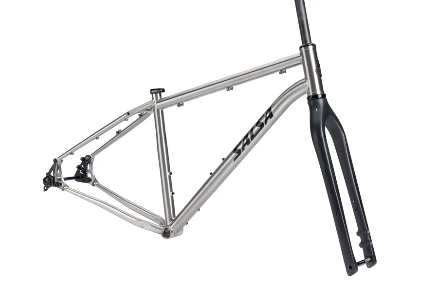 Salsa Fargo Ti Frameset - 29" Titanium Brushed Titanium Medium